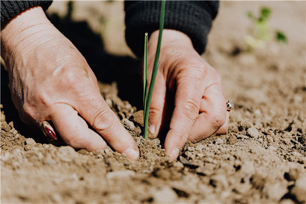 科研级土壤肥料养分检测仪