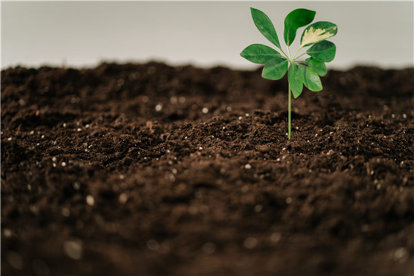 高智能土壤肥料养分检测仪