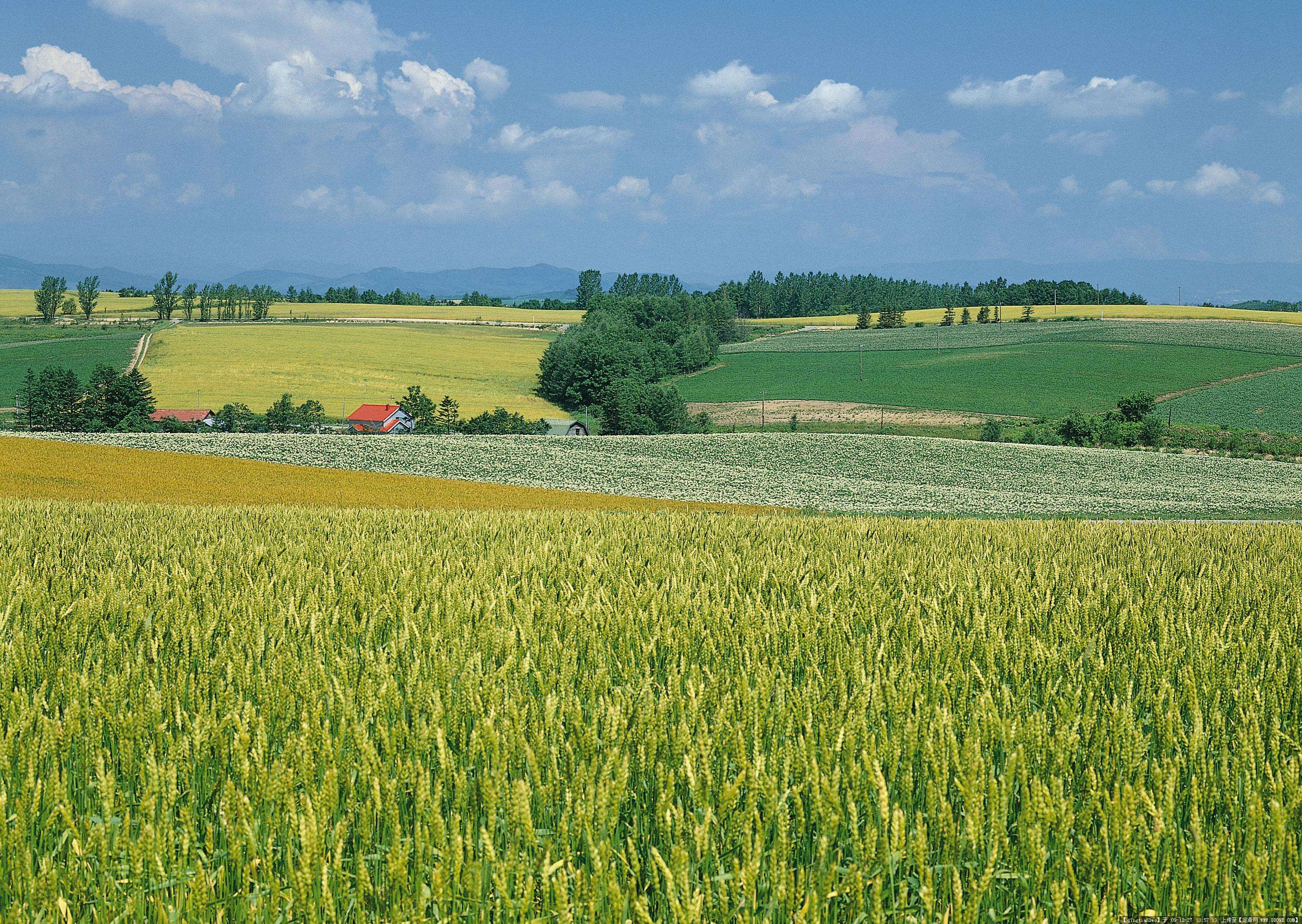 测土配方施肥仪对永久基本农田的检测